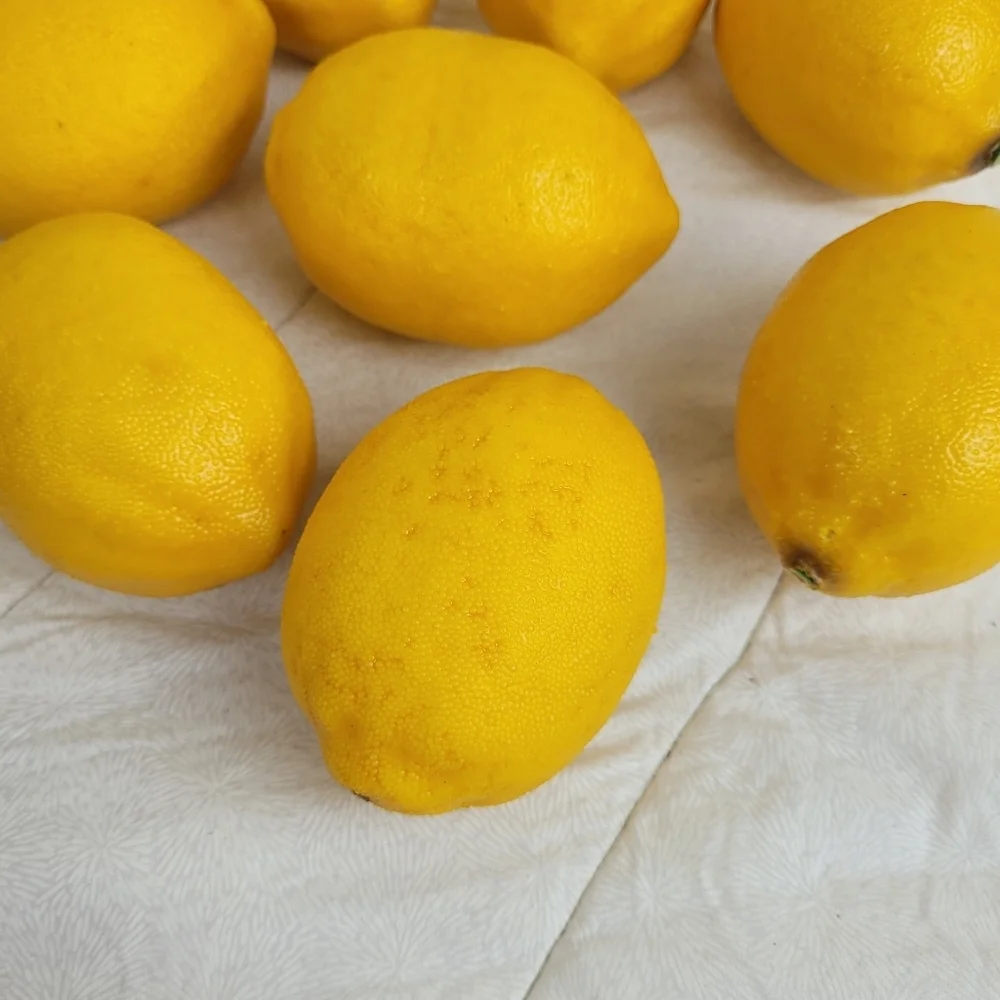 Lot Of 8 Faux Yellow Lemons Approximately 3 x 2 Each Home Decor Staging Color